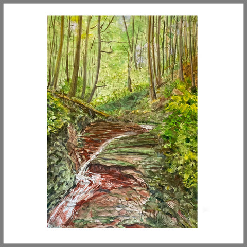 "Upstate Waterfall #1"