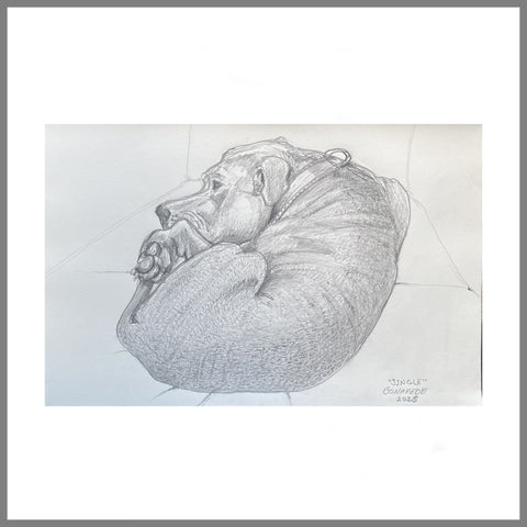 "Balled Up Blue Nose"